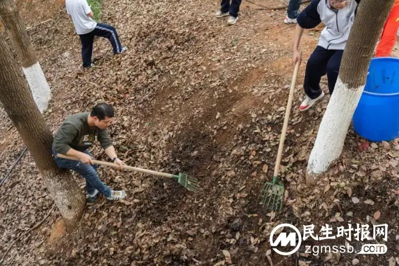 雷锋月活动回顾|高举旗帜跟党走,紧跟核心谱新篇 雷锋月活动回顾|高举旗帜跟党走,紧跟核心谱新篇