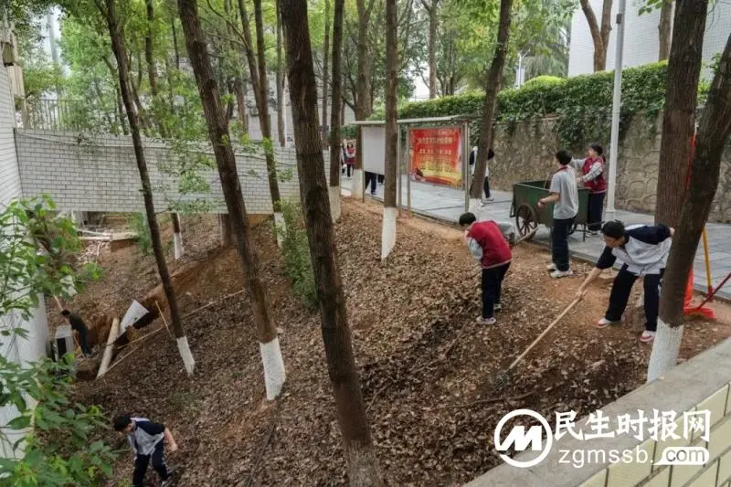 雷锋月活动回顾|高举旗帜跟党走,紧跟核心谱新篇 雷锋月活动回顾|高举旗帜跟党走,紧跟核心谱新篇