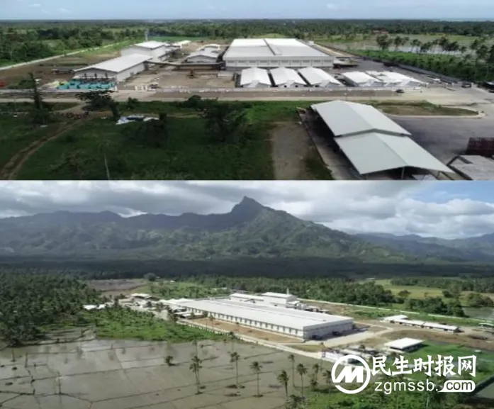 14道工艺甄选好椰浆 “其他没了”被简爱做到极致