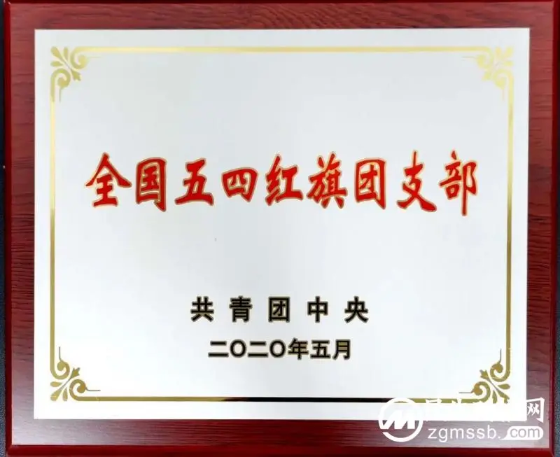 共青团湘潭市中心医院第十一次代表大会胜利召开