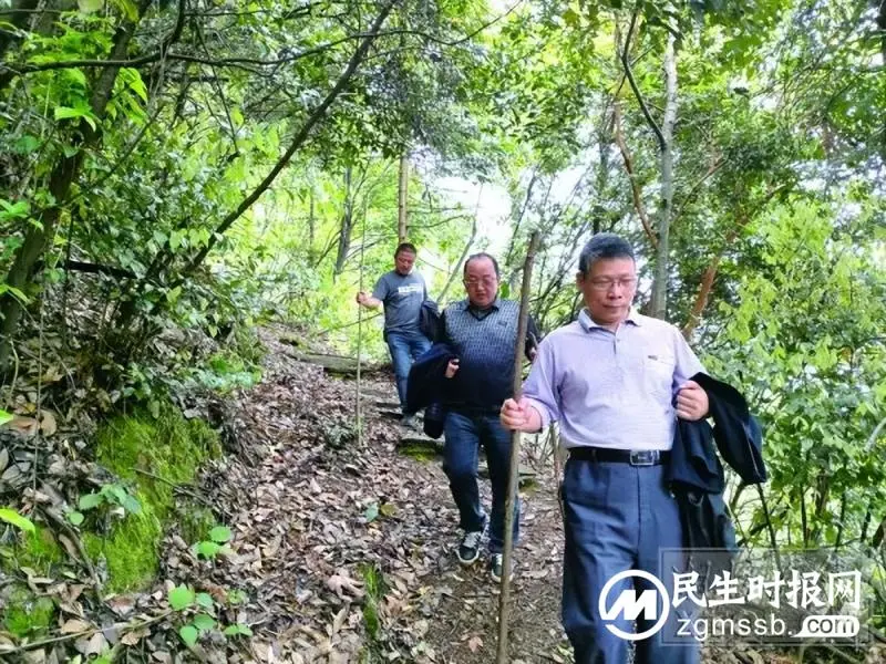 筑牢生命防线 守护百姓平安丨湘潭市自然资源和规划局地质灾害防治工作掠影