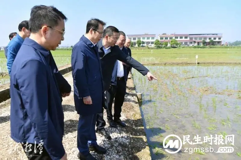 胡贺波到湘潭县开展乡村振兴专题调研 胡贺波到湘潭县开展乡村振兴专题调研