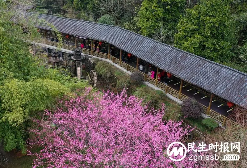 2023皮肤病中西医诊疗医学峰会在京举办
