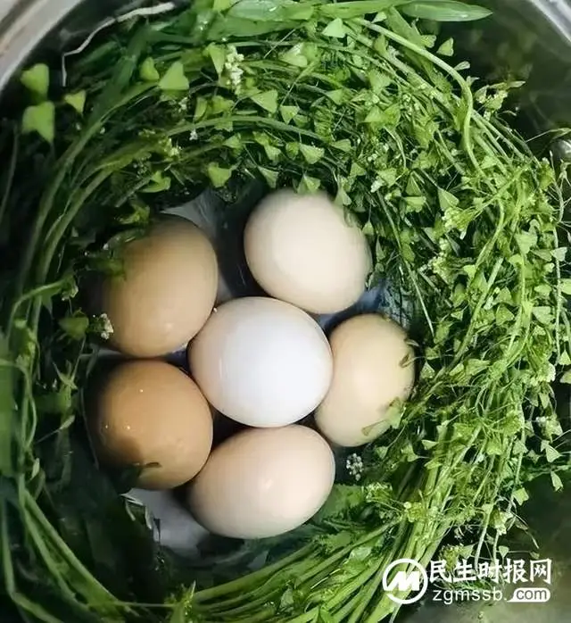 “聚焦健康 医路同行” 湘潭县人民医院肿瘤内科开展主题医患交流会（第三期）