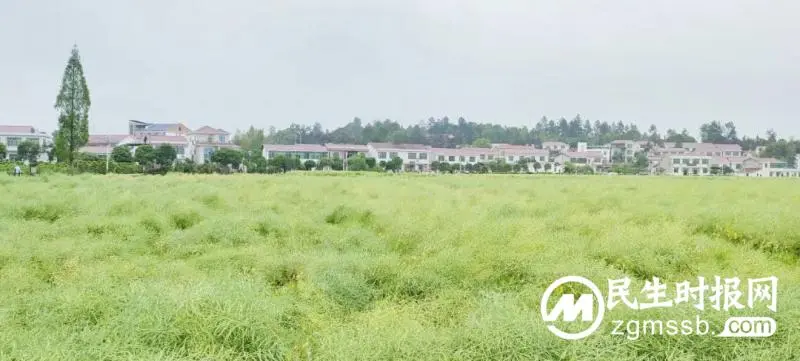 趁春光踏歌行 凭年少展翅飞 ——记湘潭凤凰中学高一年级“红色农耕”研学旅行活动 趁春光踏歌行 凭年少展翅飞 ——记湘潭凤凰中学高一年级“红色农耕”研学旅行活动