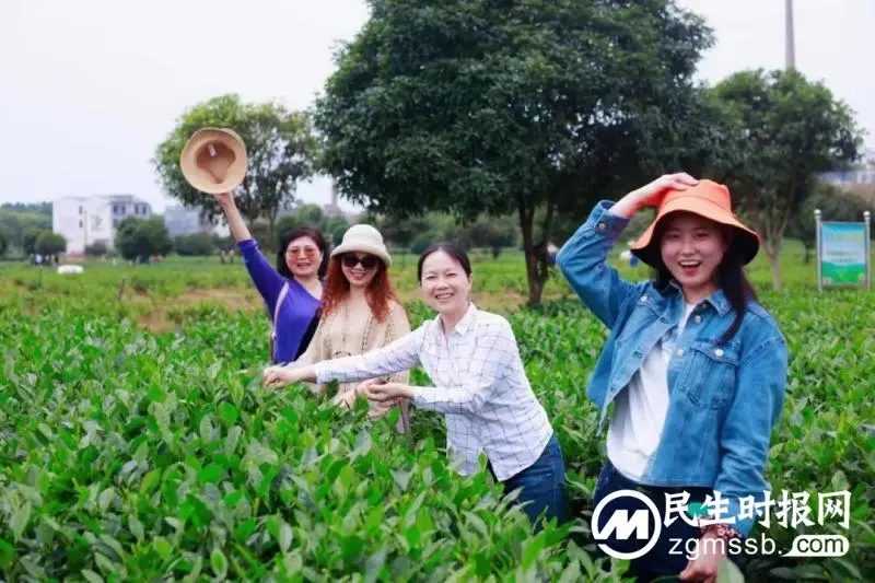 揽白石胜景,闻铺里飘香——记高二年级工会小组活动 揽白石胜景,闻铺里飘香——记高二年级工会小组活动