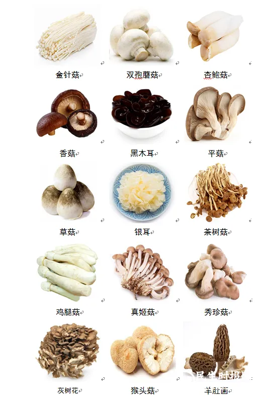 预防野生毒蘑菇中毒知识宣传 预防野生毒蘑菇中毒知识宣传