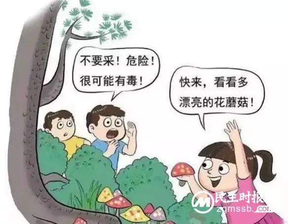 珍爱生命 远离毒蘑菇 珍爱生命 远离毒蘑菇
