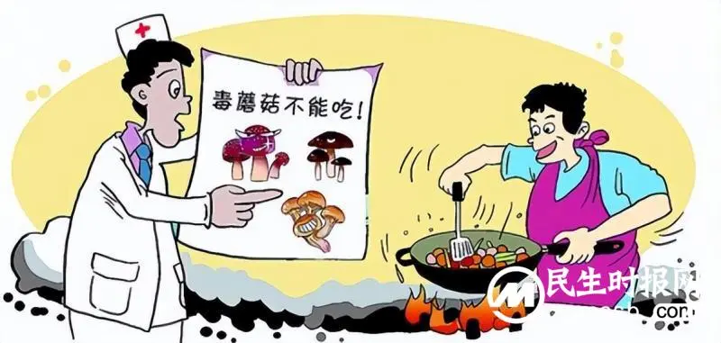 珍爱生命 远离毒蘑菇 珍爱生命 远离毒蘑菇