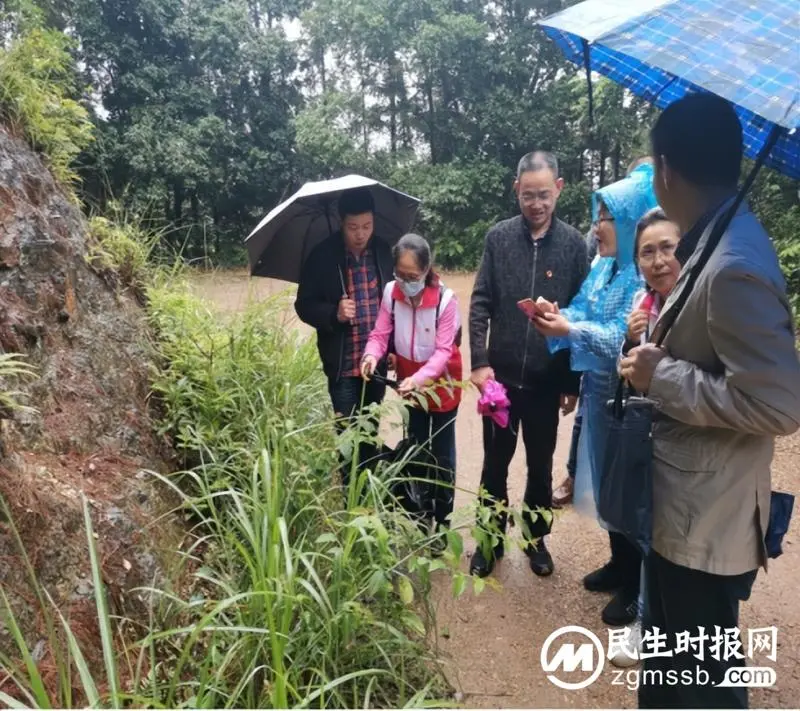 湘潭市中医医院开展“寻山间草药,扬中医国粹”主题党日活动 湘潭市中医医院开展“寻山间草药,扬中医国粹”主题党日活动