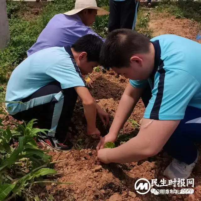 奔赴青春 向阳生长——湘潭市四中八年级研学活动