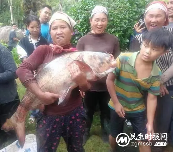 孟连县“神鱼节”：万人水上狂欢的最嗨打开方式