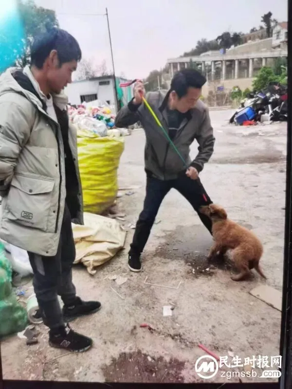 群众宠物狗不慎丢失 民警耐心帮助寻回