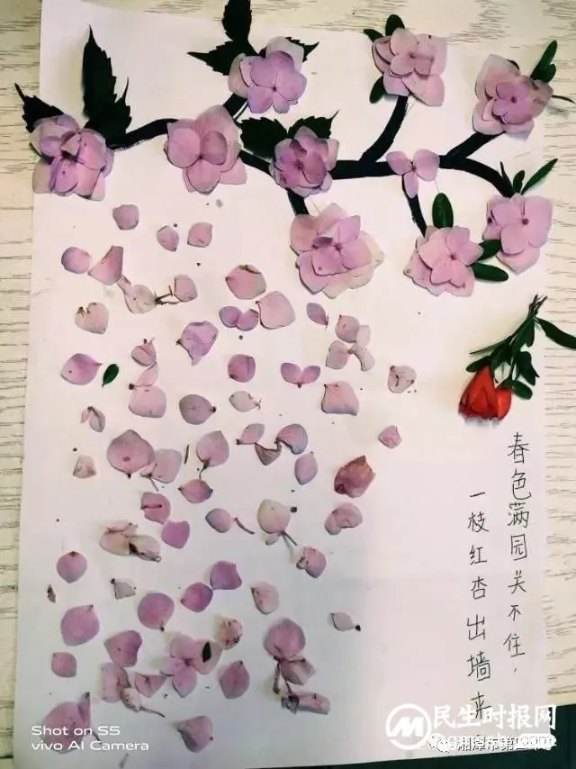 轻拾落红，赋诗予你——七年级周末语文作业