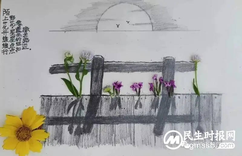 轻拾落红，赋诗予你——七年级周末语文作业