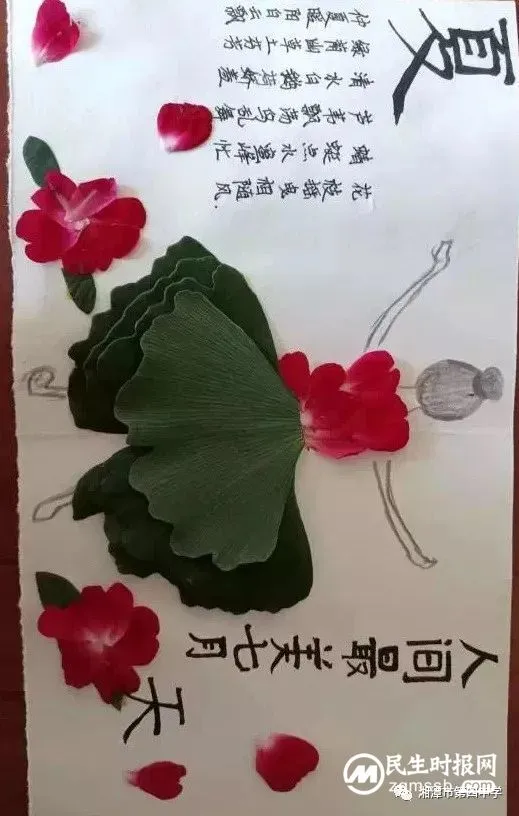 轻拾落红，赋诗予你——七年级周末语文作业