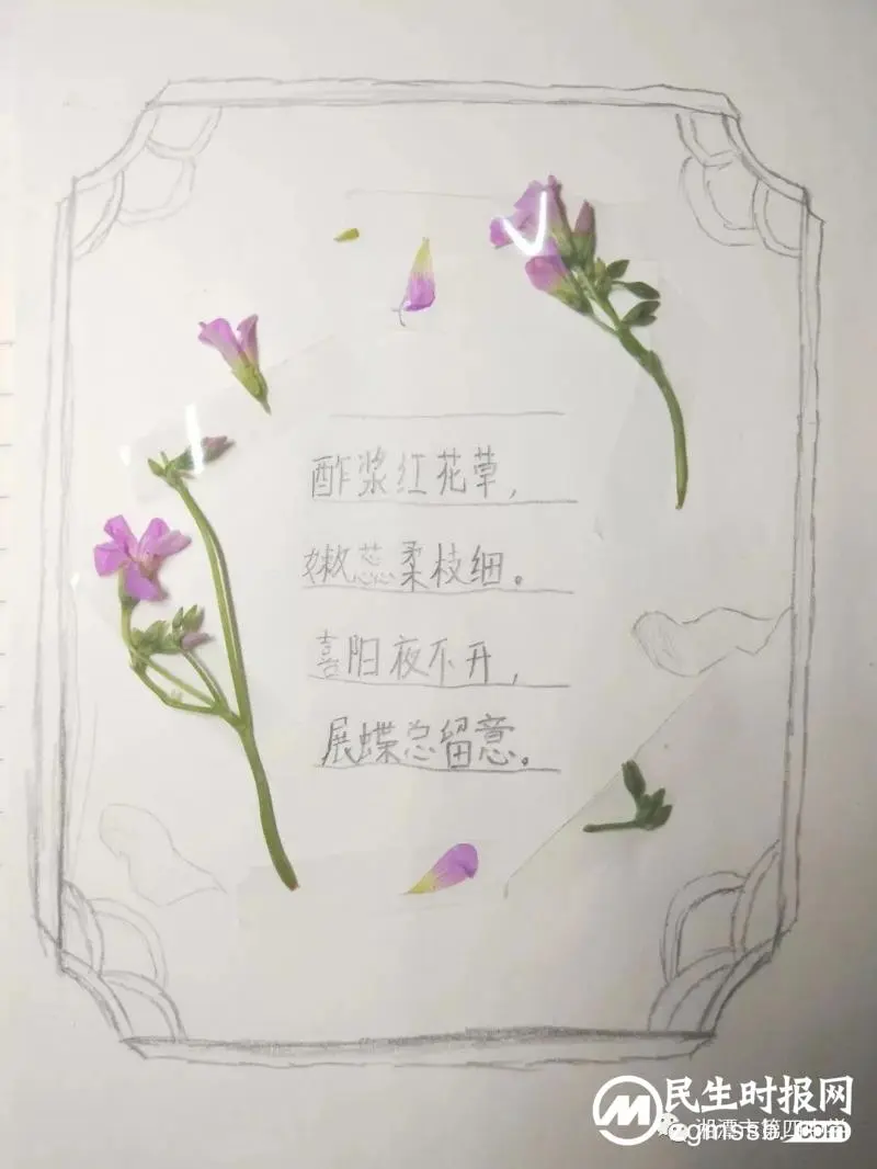 轻拾落红，赋诗予你——七年级周末语文作业