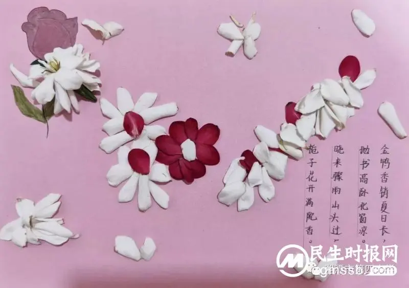 轻拾落红，赋诗予你——七年级周末语文作业