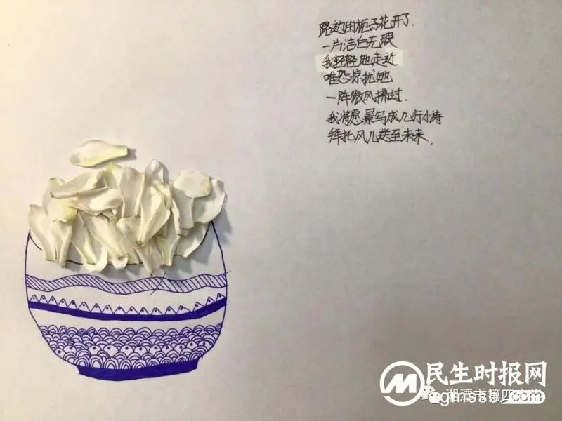 轻拾落红，赋诗予你——七年级周末语文作业