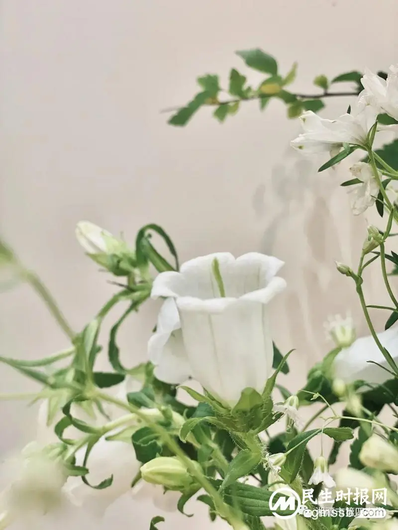 轻拾落红，赋诗予你——七年级周末语文作业