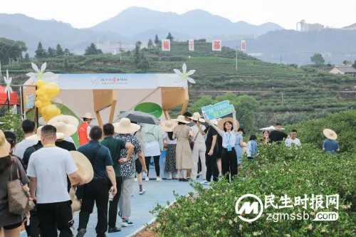强化道地产区合作,扬子江药业集团助福鼎“一花一果”兴产业、乐万家 强化道地产区合作,扬子江药业集团助福鼎“一花一果”兴产业、乐万家
