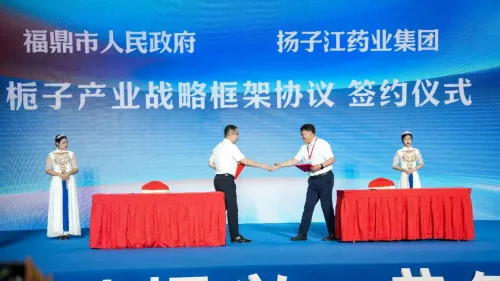 强化道地产区合作,扬子江药业集团助福鼎“一花一果”兴产业、乐万家 强化道地产区合作,扬子江药业集团助福鼎“一花一果”兴产业、乐万家