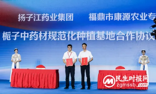 强化道地产区合作,扬子江药业集团助福鼎“一花一果”兴产业、乐万家 强化道地产区合作,扬子江药业集团助福鼎“一花一果”兴产业、乐万家