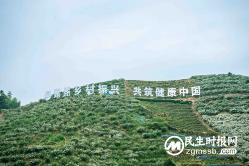 产业活水进家门,扬子江药业集团送来乡村振兴“致富经” 产业活水进家门,扬子江药业集团送来乡村振兴“致富经”