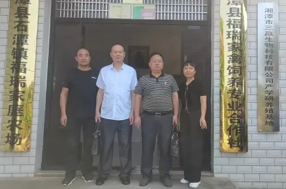 心中的桥 心中的桥