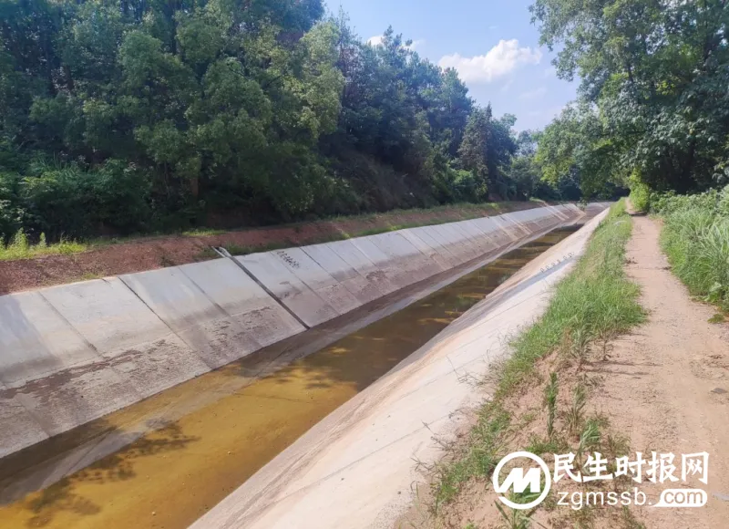 基层动态丨奋战正当时，南干渠管理处清淤保灌助民生