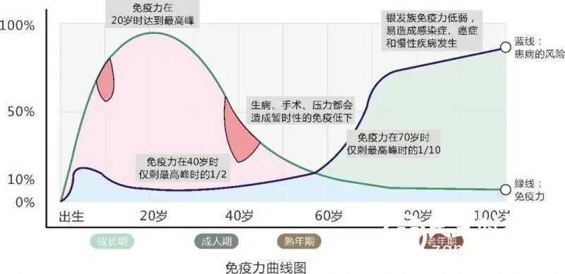 华夏源细胞存储:慕尼黑大学发现人体“衰退曲线”!免疫功能从何时衰退? 华夏源细胞存储:慕尼黑大学发现人体“衰退曲线”!免疫功能从何时衰退?