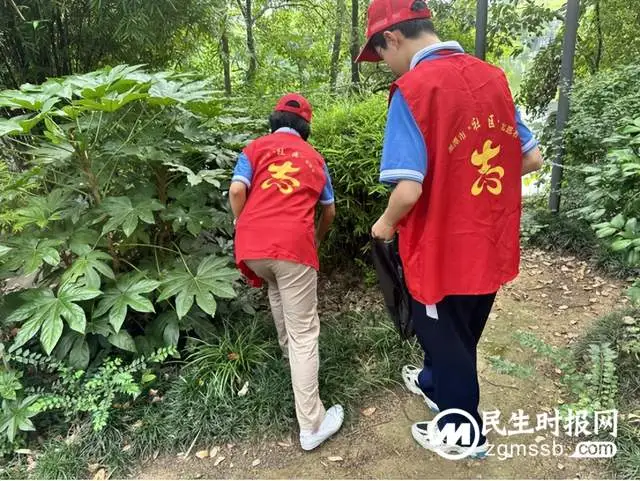 晨曦闪光辉，志愿伴我行