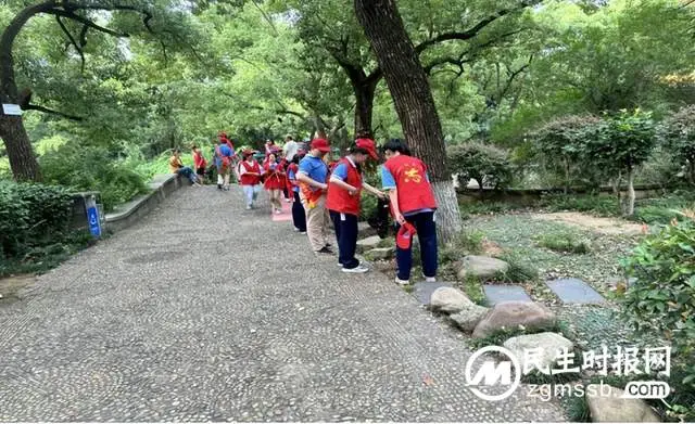 晨曦闪光辉，志愿伴我行