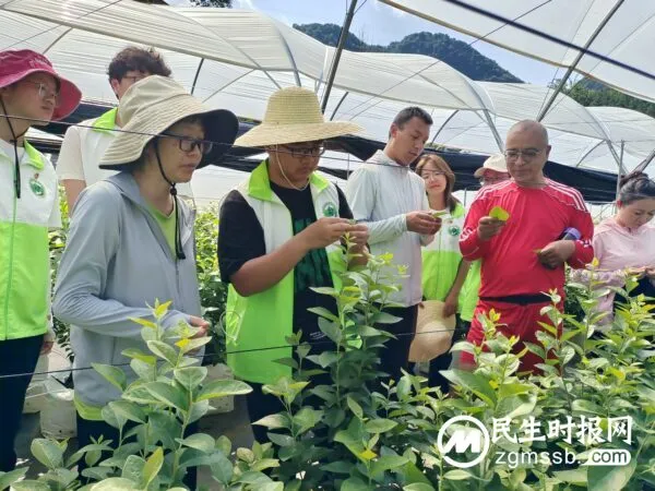云农植保开展“强国有我 青春有为”暑期社会实践活动