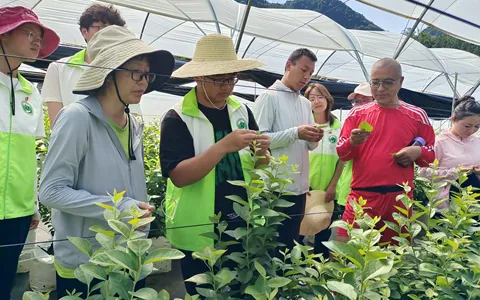 云农植保开展“强国有我 青春有为”暑期社会实践活动
