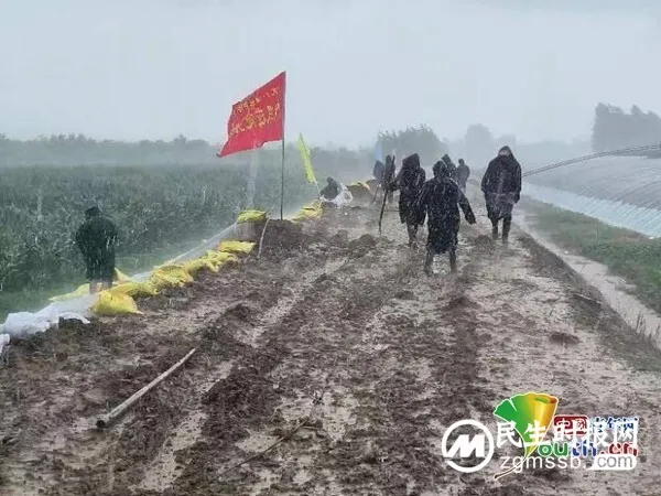 东方甄选联合中国青年创业就业基金会首批救援物资运抵河北8个地市 东方甄选联合中国青年创业就业基金会首批救援物资运抵河北8个地市
