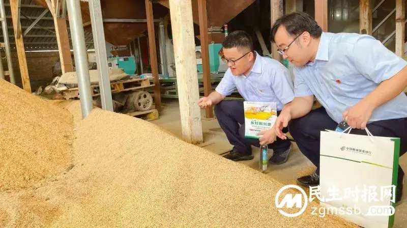 邮储银行多措并举助力夏粮颗粒归仓 邮储银行多措并举助力夏粮颗粒归仓