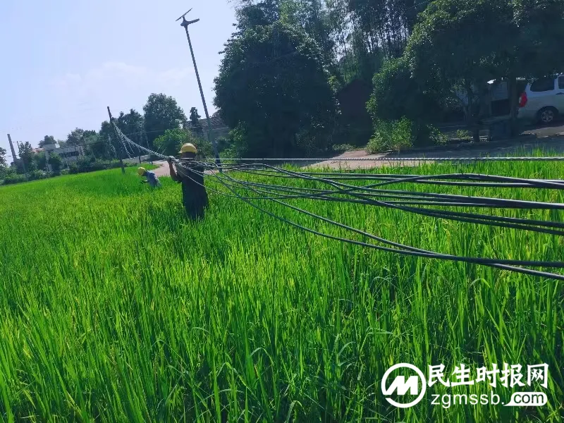 整治线路,消除隐患 整治线路,消除隐患