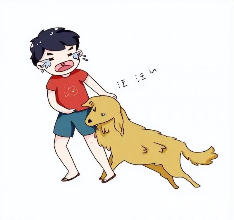 关于狂犬病,您一定要知道 关于狂犬病,您一定要知道