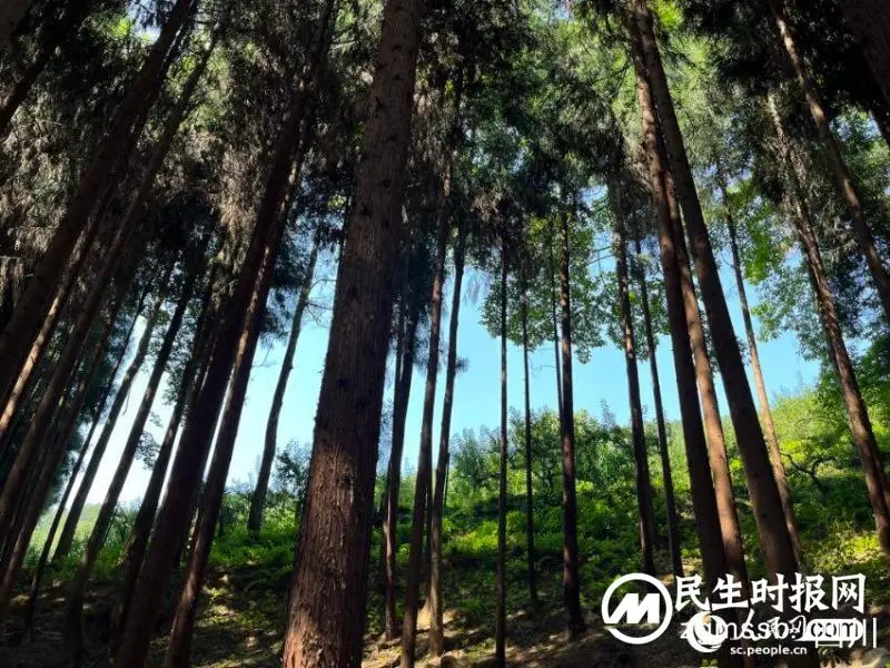 跟着总书记看中国 跟着总书记看中国