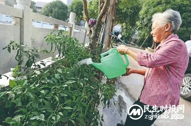“读懂湘潭·魅力韶灌行”融媒体报道丨回不回家，一道两难的选择题