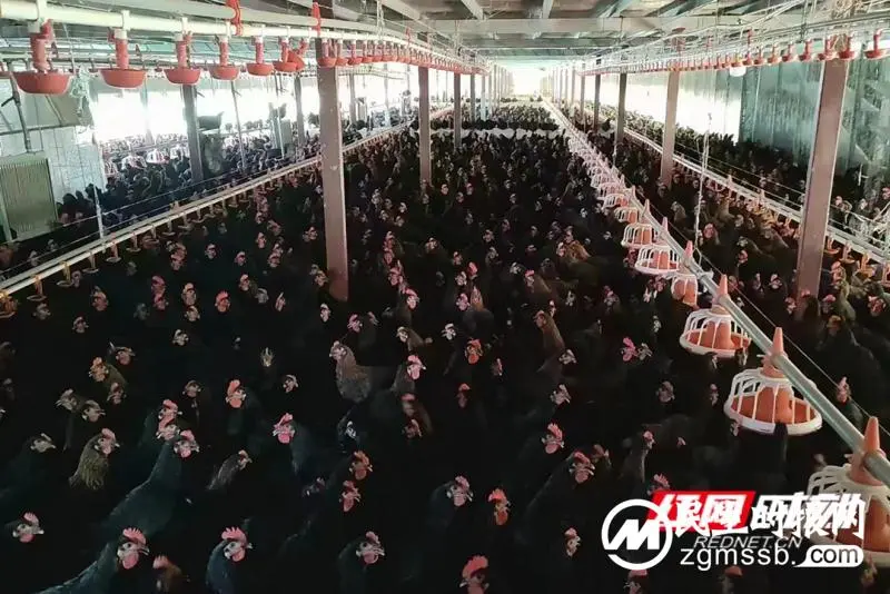 巩固脱贫成果进行时丨湘潭县长潭村:激活乡村血脉开满“致富花” 巩固脱贫成果进行时丨湘潭县长潭村:激活乡村血脉开满“致富花”