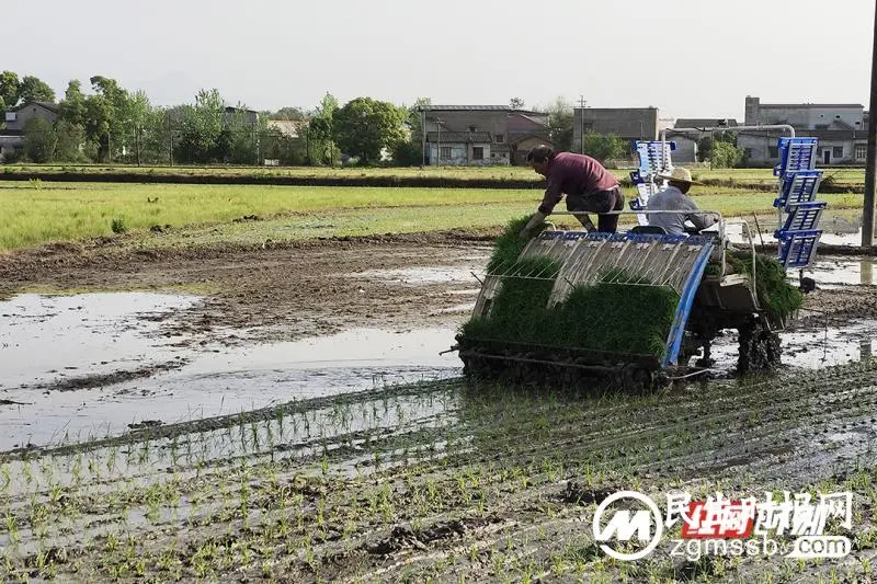 巩固脱贫成果进行时丨湘潭县长潭村:激活乡村血脉开满“致富花” 巩固脱贫成果进行时丨湘潭县长潭村:激活乡村血脉开满“致富花”