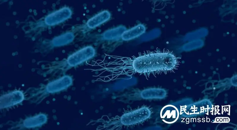 华夏源免疫细胞存储:或致败血症、脑膜炎!夏天千万要要小心这些细菌! 华夏源免疫细胞存储:或致败血症、脑膜炎!夏天千万要要小心这些细菌!