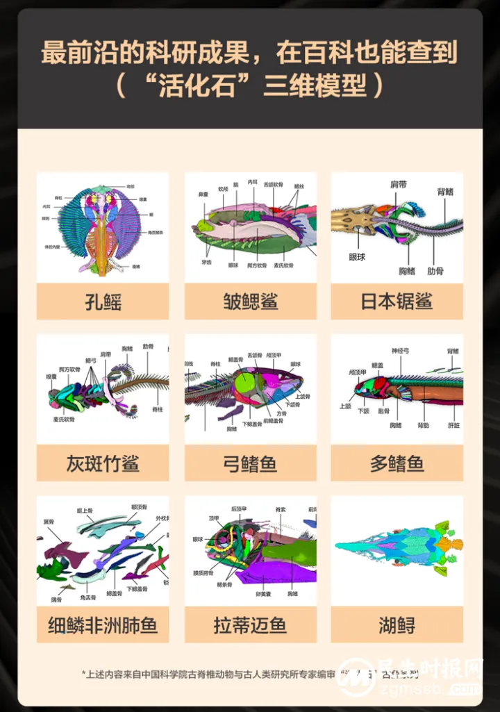 涵盖2745万个知识点、2.44亿次编辑、778万人编写,你想知道的百度百科都有! 涵盖2745万个知识点、2.44亿次编辑、778万人编写,你想知道的百度百科都有!