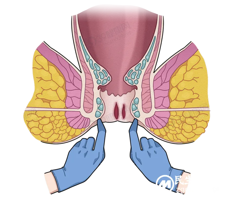 【医学科普】让人羞羞的“肛门指检”竟能查出这么多病? 【医学科普】让人羞羞的“肛门指检”竟能查出这么多病?