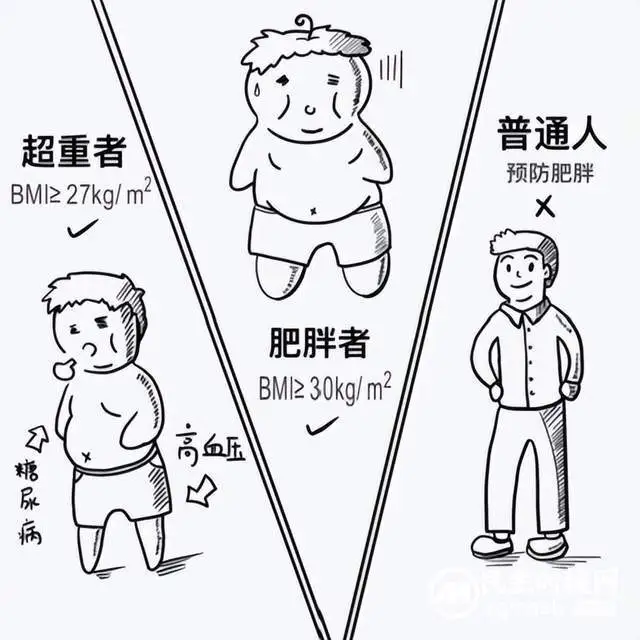网红“暴瘦针”司美格鲁肽——你了解多少?