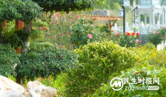 涉县马布村:沟渠变游园 村民笑开颜