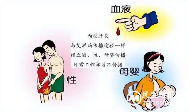 【医学科普】关于“隐形杀手”丙肝你了解多少？