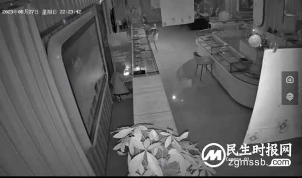 蒙面盗贼深夜盗窃珠宝店 涉县公安快速侦破挽损失